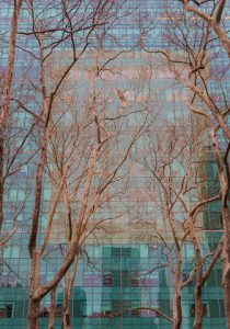 J Stritz.bryant-park