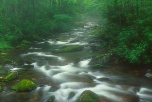 Michael Hickey-stream with rhods