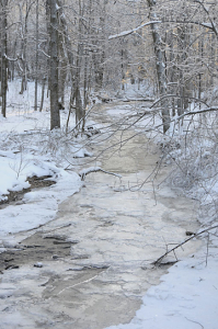 snow_anita fanic_snowy creek