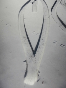 snowmarty-tracks