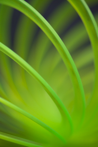 BP60A8188-102
