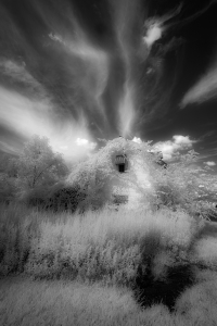 Abandoned_Farmhouse#3_BPovlow-resize-CPC