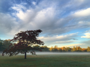 Jen Linda_CaptureTheParkphoto