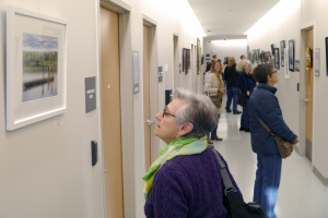 Parks Exhibit2015_03