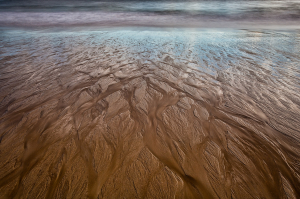 DanielleAusten_Streams